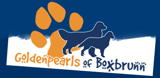 Goldenpearls of Boxbrunn Logo