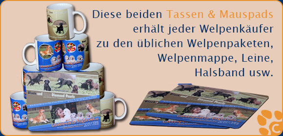 Welpen Aufzucht Bild 029