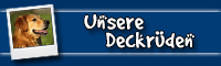 Unsere Deckrüden