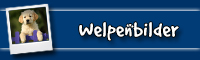 Welpenbilder