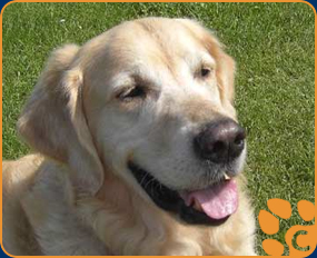 Balou Simbah Bild 01